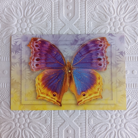 Butterly Stationery Cards 8 ct - Picture 5 of 16